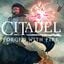 Citadel: Forged With Fire  PC