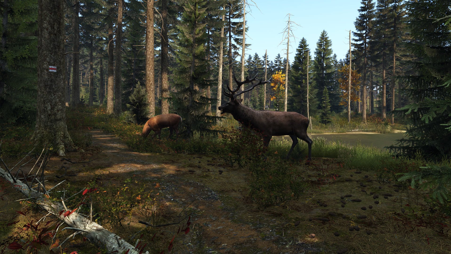 DayZ Screenshot