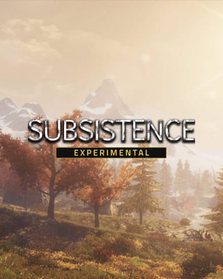 Subsistence experimental Game Server