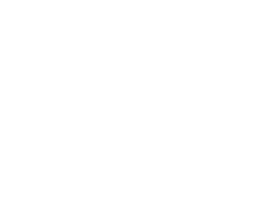 VEIN