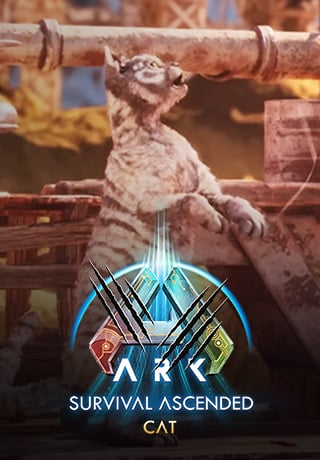ASA Cats